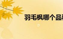 羽毛枫哪个品种最好 羽毛枫