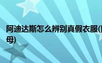 阿迪达斯怎么辨别真假衣服(阿迪达斯怎么辨别真假衣服的字母)