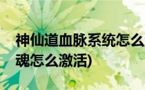 神仙道血脉系统怎么激活升级(神仙道血脉心魂怎么激活)