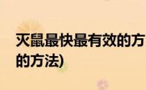 灭鼠最快最有效的方法(超市灭鼠最快最有效的方法)