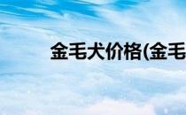 金毛犬价格(金毛犬价格幼犬价格)
