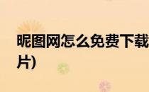 昵图网怎么免费下载(昵图网怎么免费下载图片)