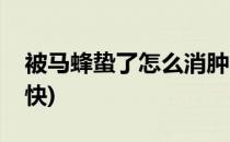 被马蜂蛰了怎么消肿(被马蜂蛰了怎么消肿最快)