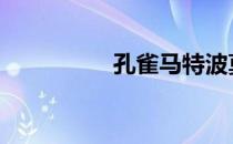 孔雀马特波莫 马特波莫