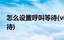 怎么设置呼叫等待(vivo手机怎么设置呼叫等待)