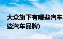 大众旗下有哪些汽车品牌(德国大众旗下有哪些汽车品牌)