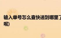 输入单号怎么查快递到哪里了(输入单号怎么查快递到哪里了呢)