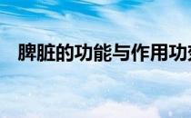 脾脏的功能与作用功效 脾脏的功能与作用