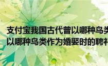 支付宝我国古代曾以哪种鸟类作为婚娶时的聘礼(我国古代乘以哪种鸟类作为婚娶时的聘礼)