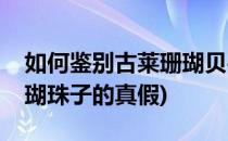 如何鉴别古莱珊瑚贝手珠的真伪(怎么辨别珊瑚珠子的真假)