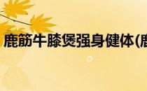 鹿筋牛膝煲强身健体(鹿筋牛膝煲牛骨可以吗)