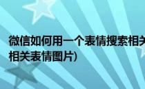 微信如何用一个表情搜索相关表情(微信如何用一个表情搜索相关表情图片)