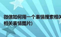 微信如何用一个表情搜索相关表情(微信如何用一个表情搜索相关表情图片)