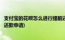 支付宝的花呗怎么进行提前还款(支付宝的花呗怎么进行提前还款申请)
