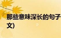 那些意味深长的句子(那些意味深长的句子英文)