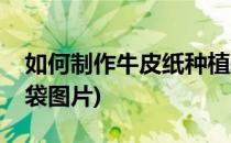 如何制作牛皮纸种植袋(如何制作牛皮纸种植袋图片)