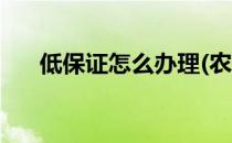低保证怎么办理(农村低保证怎么办理)