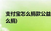 支付宝怎么捐款公益活动(支付宝爱心捐赠怎么捐)