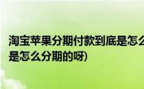 淘宝苹果分期付款到底是怎么分期的(淘宝苹果分期付款到底是怎么分期的呀)