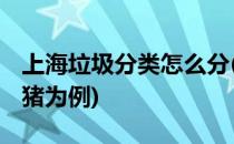 上海垃圾分类怎么分(上海垃圾分类怎么分 以猪为例)