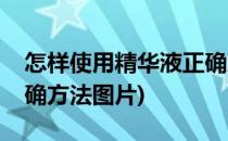 怎样使用精华液正确方法(怎样使用精华液正确方法图片)