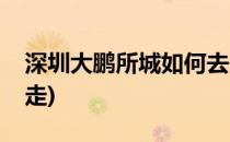 深圳大鹏所城如何去(深圳站到大鹏所城怎么走)