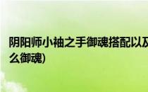 阴阳师小袖之手御魂搭配以及培养攻略(阴阳师小袖之手带什么御魂)