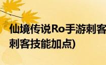 仙境传说Ro手游刺客技能加点(仙境传说ro爆刺客技能加点)