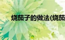 烧茄子的做法(烧茄子的做法视频教程)