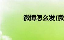 微博怎么发(微博怎么发动态)