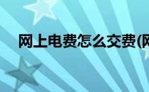 网上电费怎么交费(网上电费怎么交费的)
