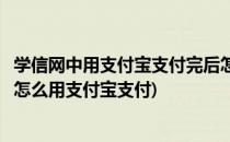 学信网中用支付宝支付完后怎样获取查询码(学信网支付平台怎么用支付宝支付)
