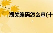 海关编码怎么查(十位海关编码怎么查)