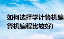 如何选择学计算机编程的学校(什么学校学计算机编程比较好)