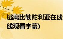 逃离比勒陀利亚在线观看(逃离比勒陀利亚在线观看字幕)
