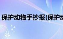 保护动物手抄报(保护动物手抄报简单又漂亮)