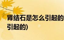肾结石是怎么引起的呢(肾结石肾结石是怎么引起的)
