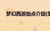 梦幻西游加点介绍(梦幻西游加点介绍词)