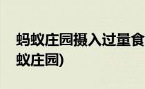 蚂蚁庄园摄入过量食盐有什么危害(含盐量蚂蚁庄园)