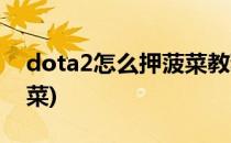 dota2怎么押菠菜教程(dota2直接压钱的菠菜)
