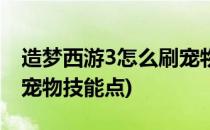 造梦西游3怎么刷宠物技能(造梦西游3怎么刷宠物技能点)