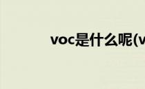 voc是什么呢(voc指的是什么)