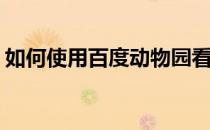 如何使用百度动物园看小动物(动物园怎么看)