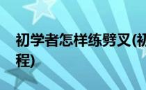 初学者怎样练劈叉(初学者怎样练劈叉视频教程)