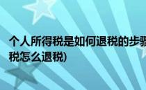 个人所得税是如何退税的步骤(个人所得税退税流程个人所得税怎么退税)