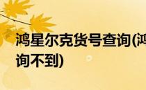 鸿星尔克货号查询(鸿星尔克货号查询怎么查询不到)