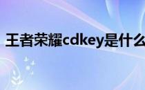 王者荣耀cdkey是什么(王者荣耀cdkey是啥)