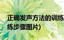 正确发声方法的训练步骤(正确发声方法的训练步骤图片)