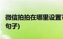 微信拍拍在哪里设置?(微信拍拍设置文字幽默句子)