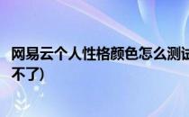 网易云个人性格颜色怎么测试(网易云个人性格颜色怎么测试不了)